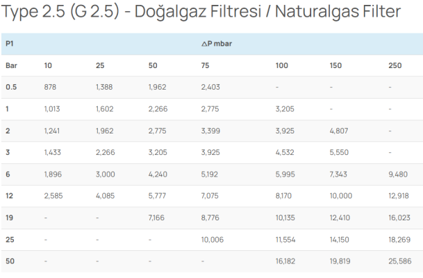 G2,5 DOĞALGAZ FİLTRE KARTUŞU 6 Ekran goruntusu 2025 01 09 213500 5
